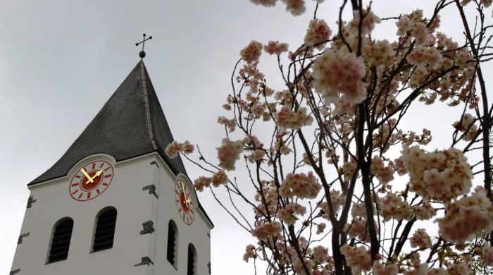 Der Turm der Pfarrkirche St. Nikolaus in Hunderdorf mit einem blÃ¤tterlosen Baum mit prachtvollen weiÃŸ-rosafarbenen BlÃ¼ten im Vordergrund.