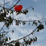 Der erste Hochzeits-Luftballon ist gelandet: ca. 50 m vom Eingang der Pfarrkirche Oberalteich entfernt.