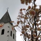 Romantischer Anblick des Kirchturms der Pfarrkirche St. Nikolaus in Hunderdorf. Im Vordergrund einen blÃ¤tterlosen Baum mit rosa-weiÃŸ blÃ¼henden BlÃ¼ten.