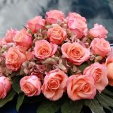 ... wunderbaren Rosen-Hortensien-Bouquet verziert, bringt das ...