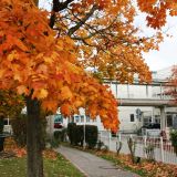 Der Herbst ist da! Bei der Dankesfeier im Klinikum St. Elisabeth sorgt ein buntes Programm fÃ¼r eine tolle AtmosphÃ¤re.
