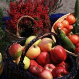 Klassisch in einem Korb werden Ã„pfel, Gurken, Tomaten und auch Erikas dargeboten.