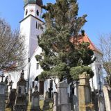 Die Haselbacher Pfarrkirche ist rundherum von alten Grabsteinen umgeben - erinnert dadurch an den historischen Straubinger Friedhof von St. Peter.
